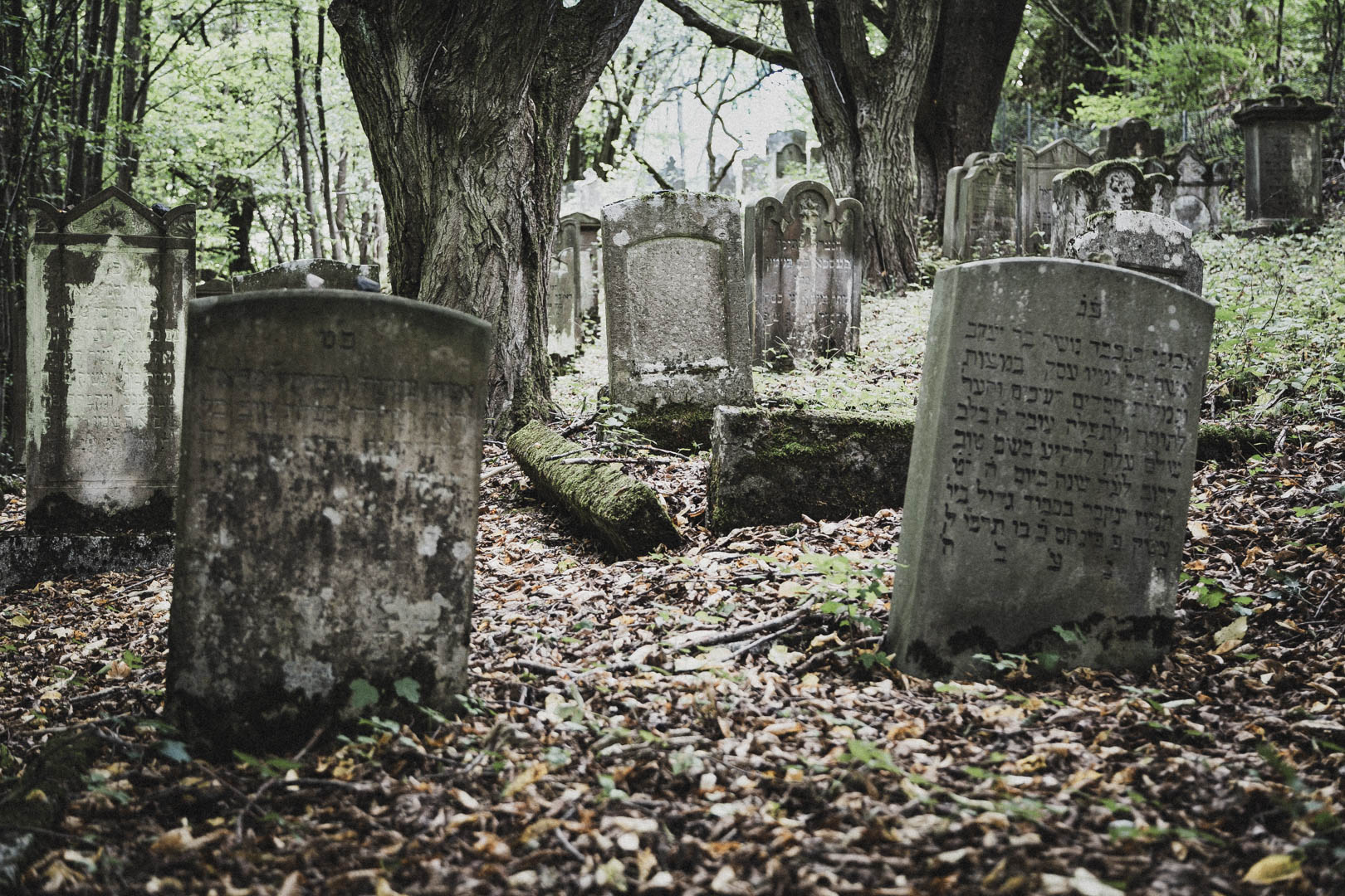 Nentershausen (Hessen)